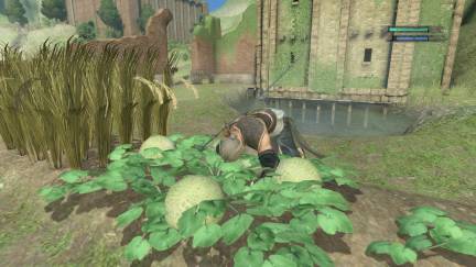 pÃªche_agriculture Nier_6