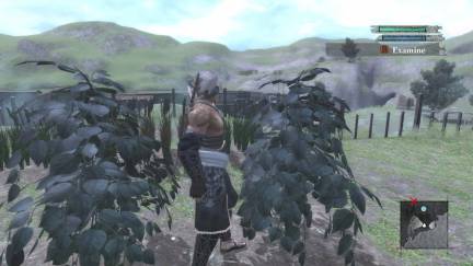 pÃªche_agriculture Nier_7