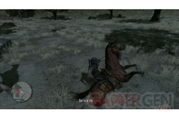 Red Dead Redemption0000 34