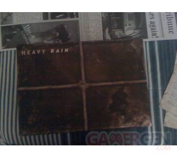 Heavy Rain Promo Review Package 5