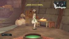 Atelier-Ayesha-Alchemist-Ground-Dusk_screenshot-49