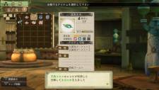 Atelier-Escha-Logy-Alchemist-Dusk-Sky_02-06-2013_screenshot-32