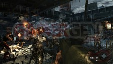 call-of-duty-black-ops-call-of-the-dead-screenshots-captures-26042011-001