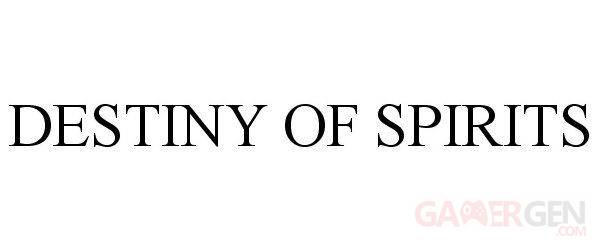 Destiny-of-Spirits_01-04-2013_logo