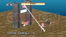 disgaea_4_061110_046