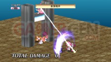 disgaea_4_061110_047