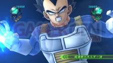Dragon-Ball-Game-Project-Age-2011-Image-12-05-2011-04