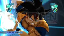 Dragon-Ball-Game-Project-Age-2011-Image-12-05-2011-05