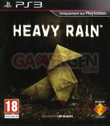 Heavy Rain Cover face