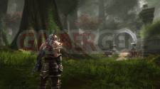 Kingdoms-of-Amalur-Reckoning_07-03-2011_screenshot-4