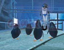 Pingouins-Madagscar-Docteur-Blowhole-Retour_22-07-2011_screenshot (2)
