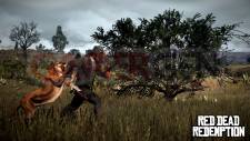 Red-Dead-Redemption_chasse-4