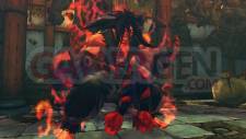 Super-Street-Fighter-IV-Arcade-Edition-Costumes-Image-24-06-2011-07