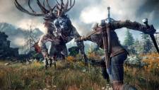 The-Witcher-3-Wild-Hunt_25-06-2013_screenshot-14