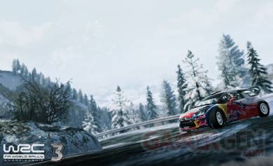 WRC-3_screenshot-3