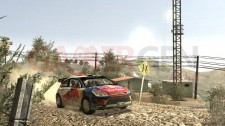 WRC-ps3-image (6)